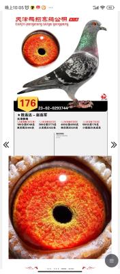 23������