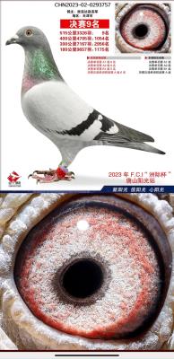 23������С����9