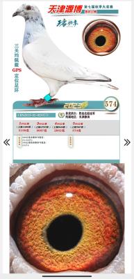 23������Դ��574