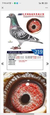 23����������219