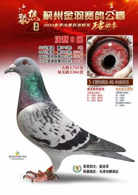 23�괺������8