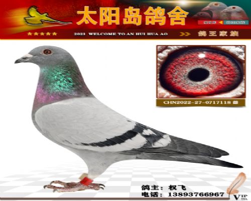 ���ۼ�վ���״�