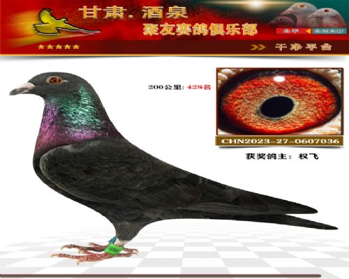 ��ɣ���۴�