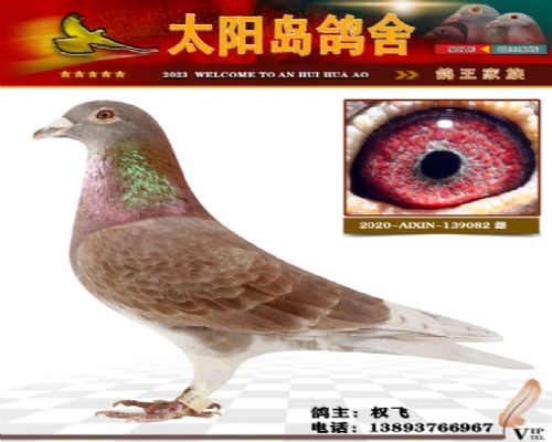 ��筴�Ӣ��˹