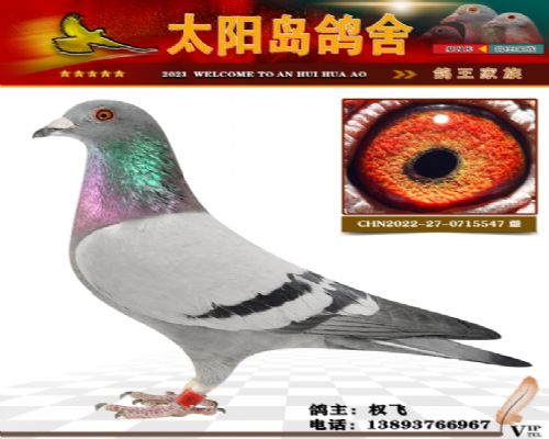 ���ۼ�վ���۴�