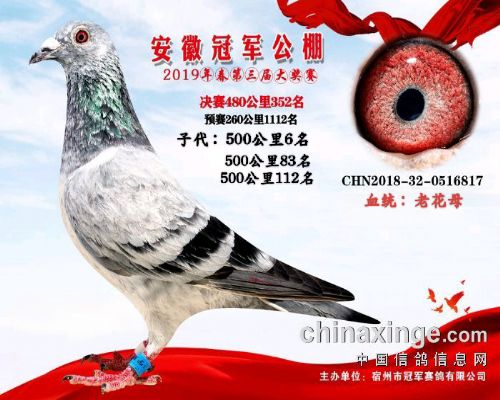 �ϻ�ĸ����