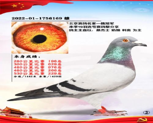 ΢���빺��  