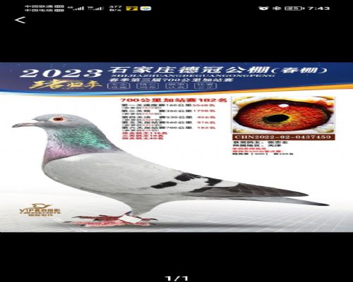 �и���������������  