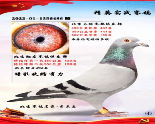 ΢���빺��  2024����ʽͶ��ʹ��