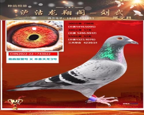 ��������xղɭ