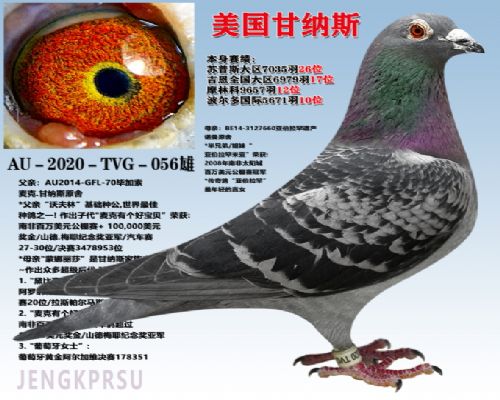 ����������˹