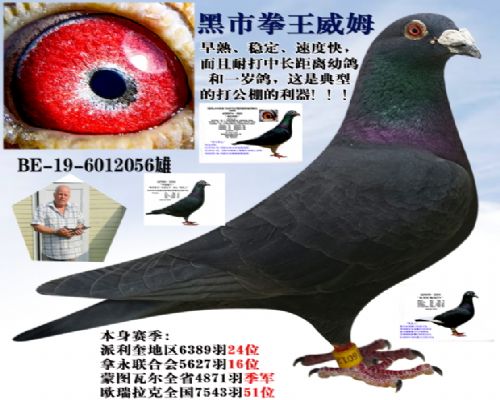 ����ȭ����ķ