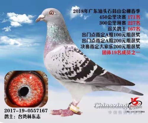 ̨�������ֶ�־�����ָ�