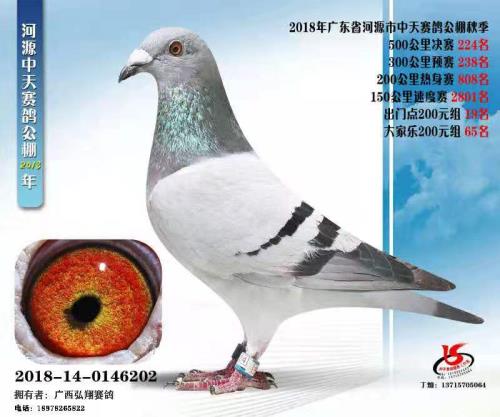 ����ɼ���