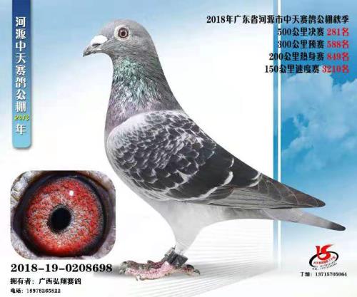 ����ɼ���