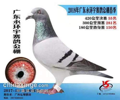 ����ɼ���