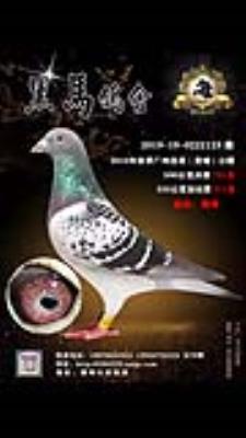 �㶫����ԭ���ָ�