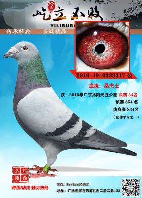 �㶫����ԭ���ָ�