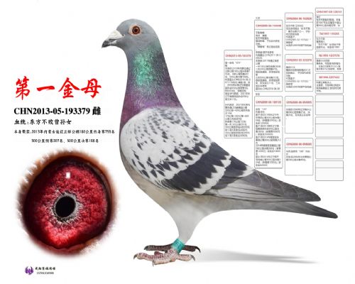 ��һ��ĸ��379��