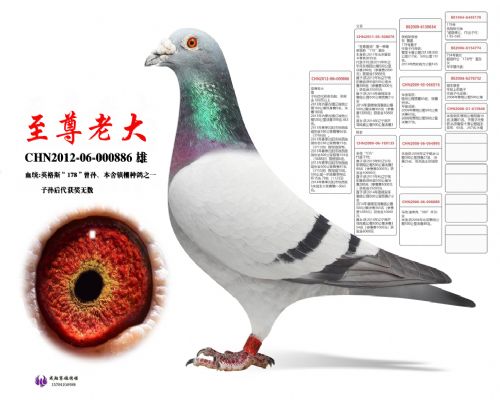 �����ϴ�