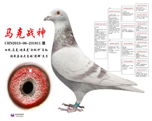 ������ս��