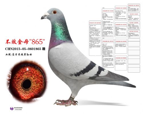 ���ܽ�ĸ��865��