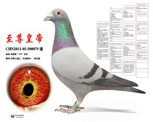 ��һ���ۡ�����ʵۡ�