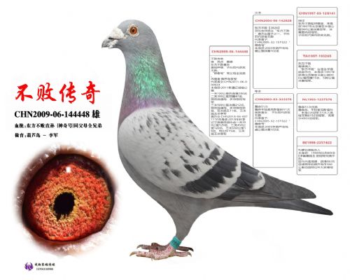 �����ܴ��桷��������ֱ��