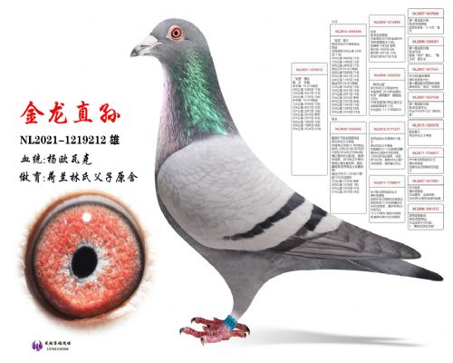 ����ֱ��