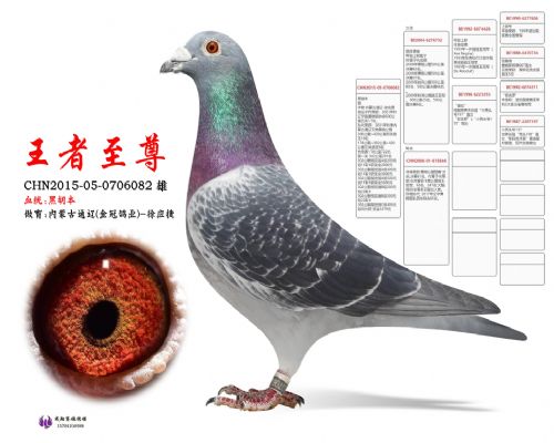 �ں�������������