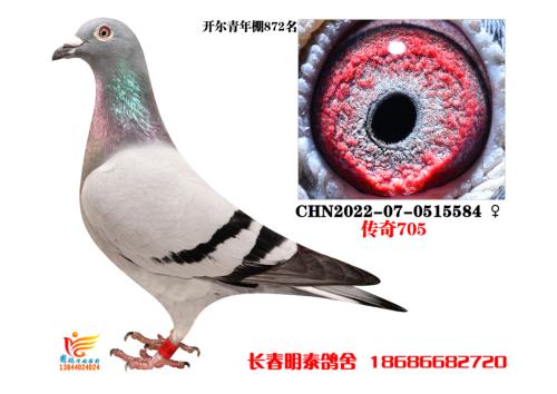 ����872��