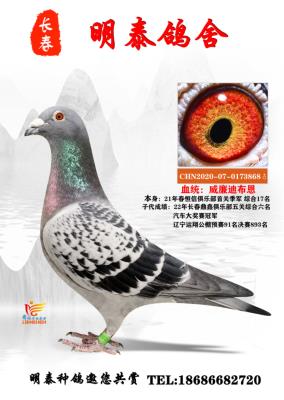 �����ϲ���868