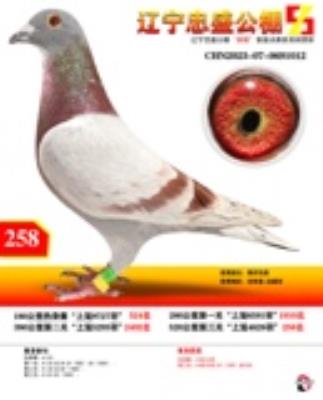 ���� �ҵ���