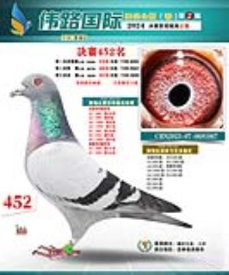 ���� �ҵ���