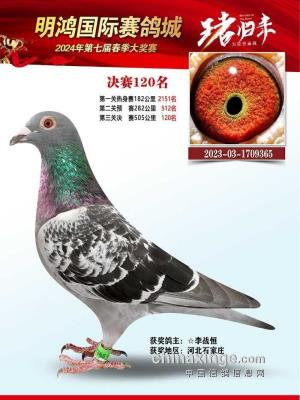 �Ĵ����贺��120��