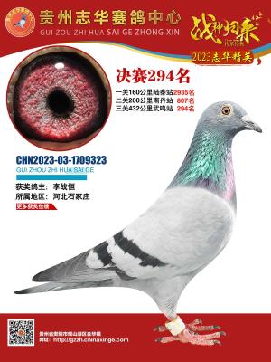 ����־���񽱸�294��