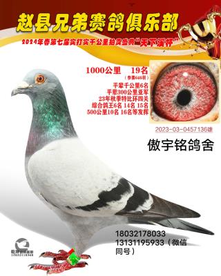 ����24��ǧ����19��
