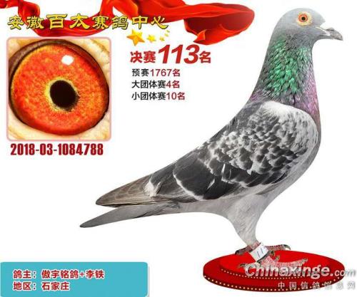 ��̫�������113��