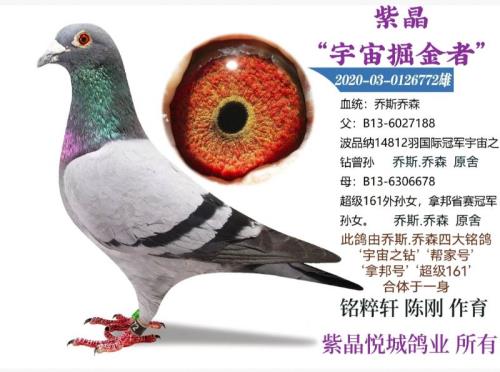 ������ ��˹.��ɭ