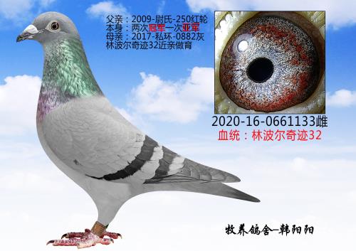 �������� ��ĸ