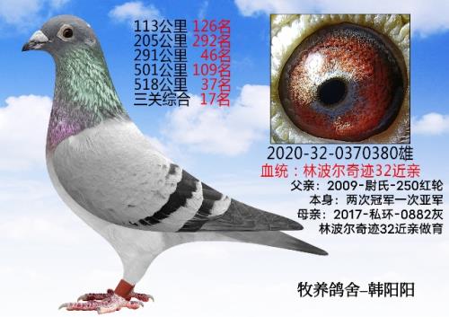 �������� ���ظ���17��