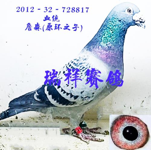 �����ָ�