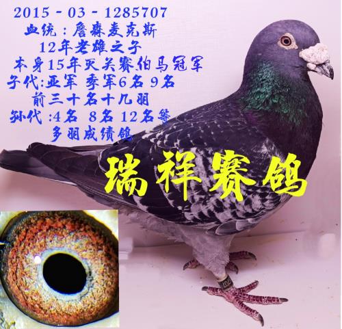 �����ָ�