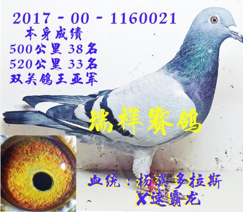 �����ָ�