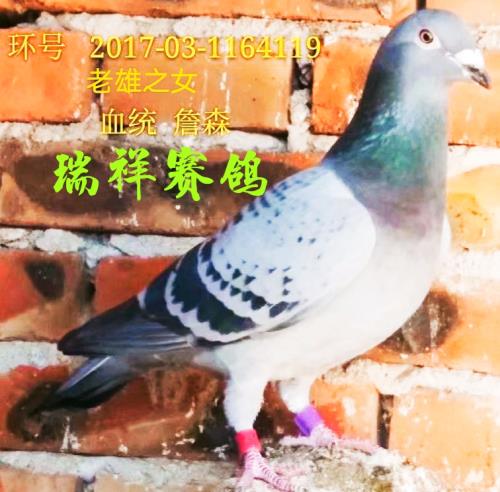 �����ָ�