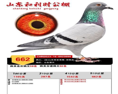 ����ʱ662