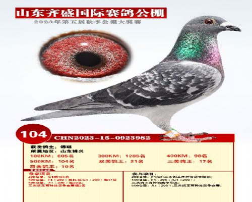 ��ʢ����10λ