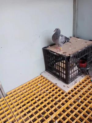 С�������