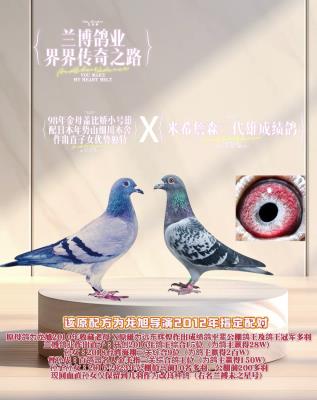 ������ҵ�����ݴ���֮·