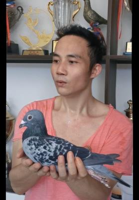 ������ҵ�����ݱ���